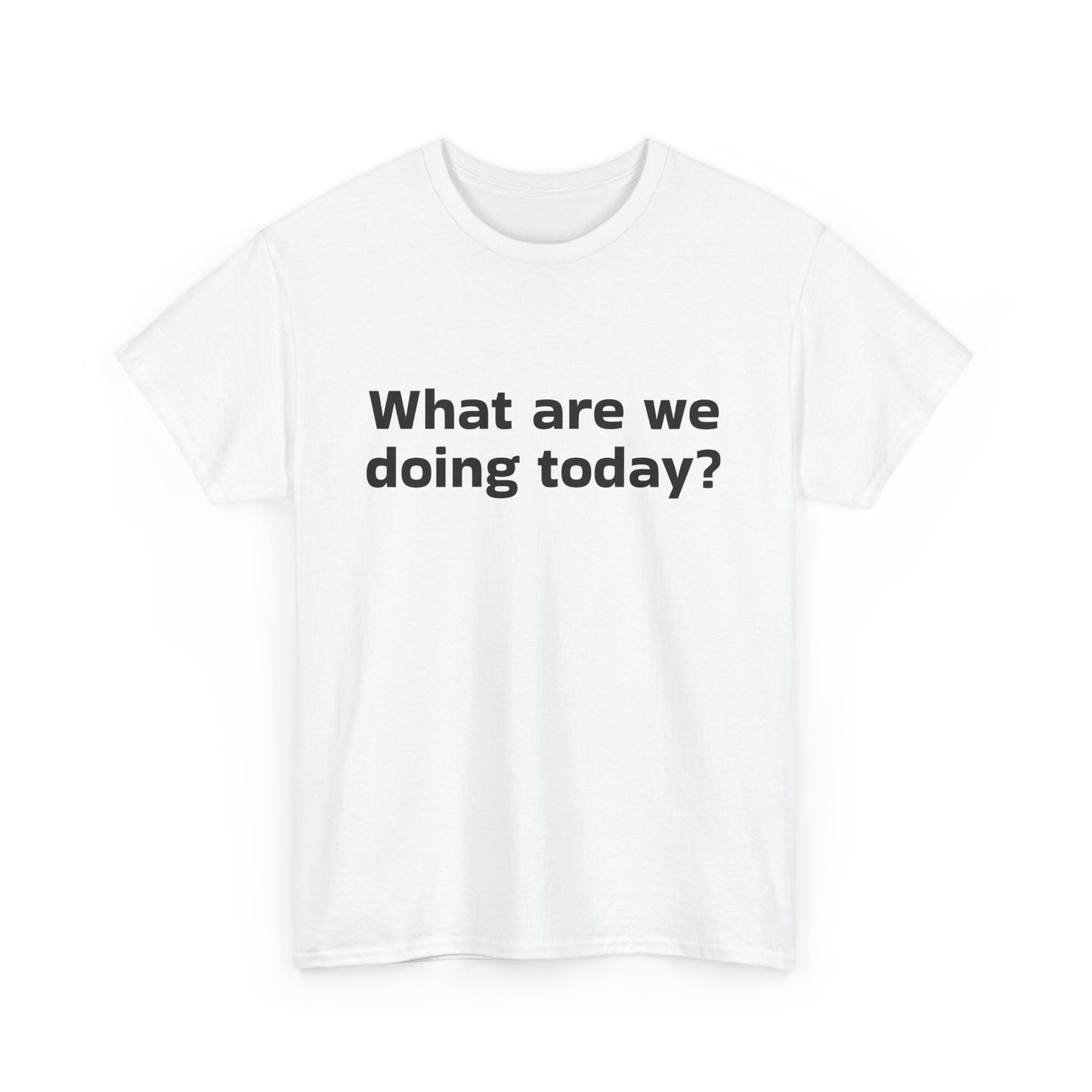 What are we doing today? T-Shirt