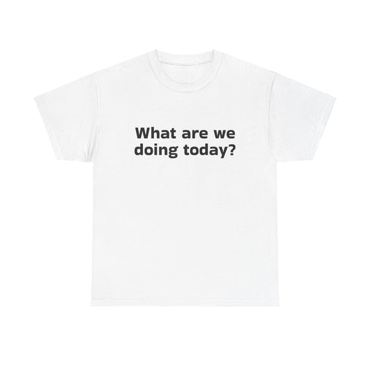 What are we doing today? T-Shirt