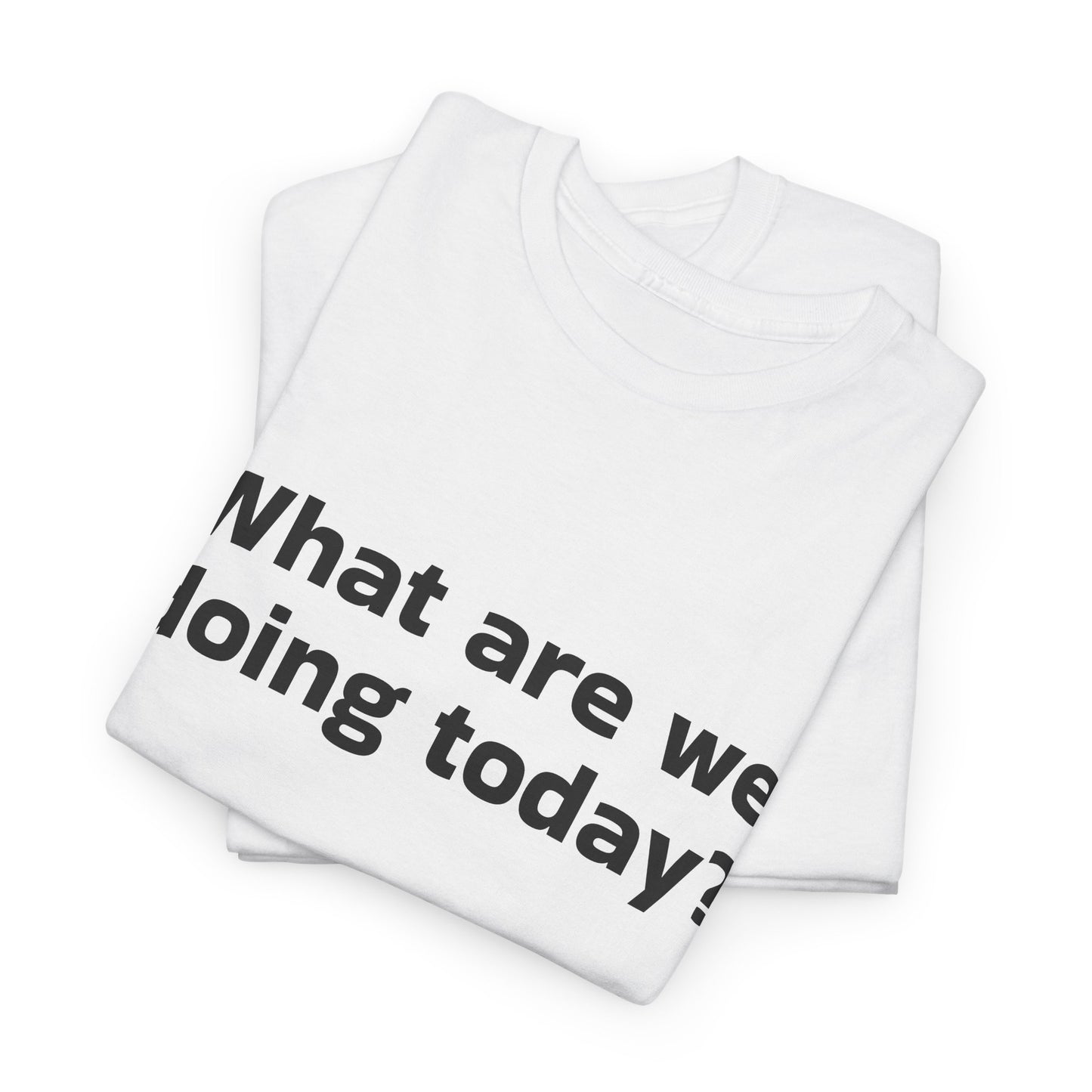 What are we doing today? T-Shirt