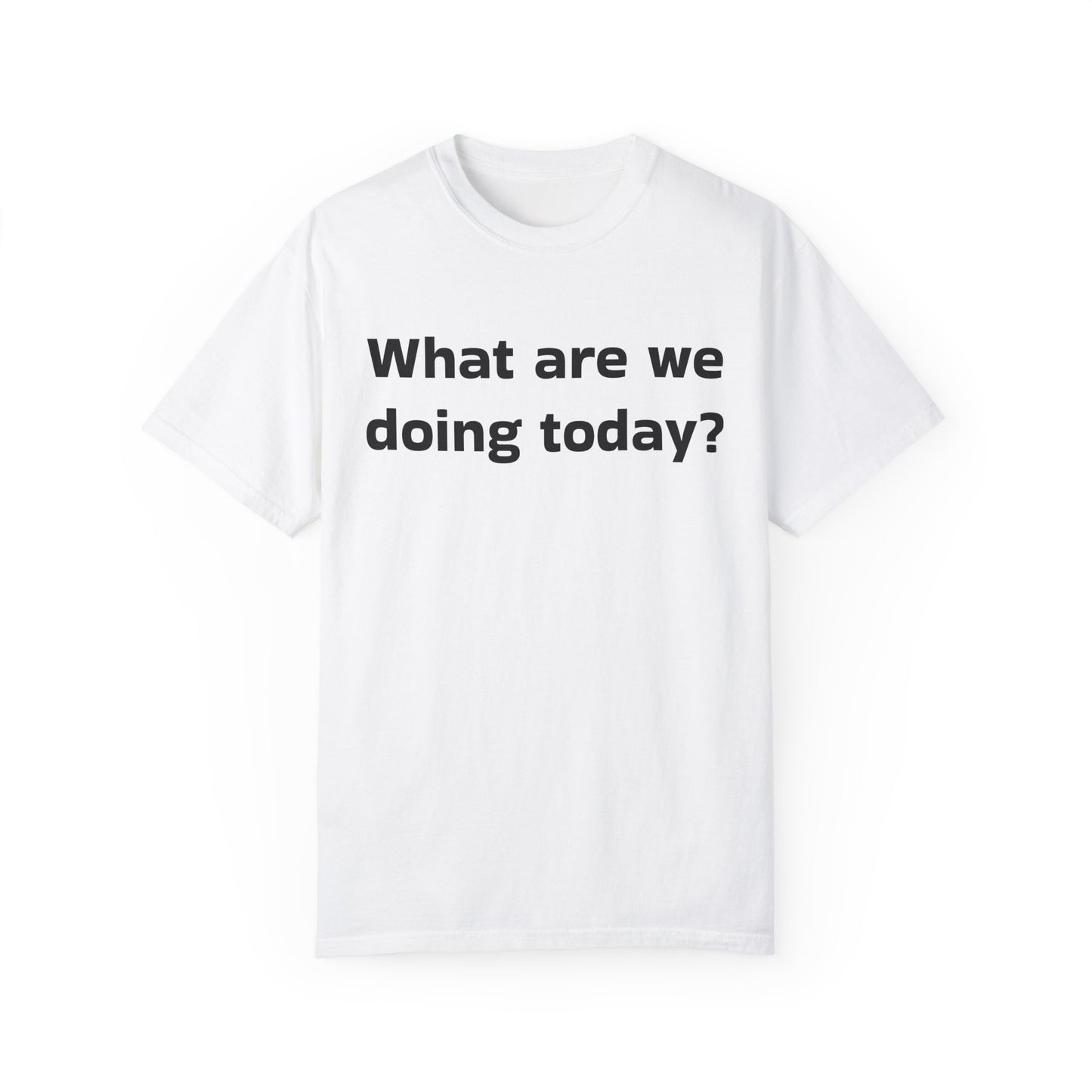 What are we doing today? T-shirt