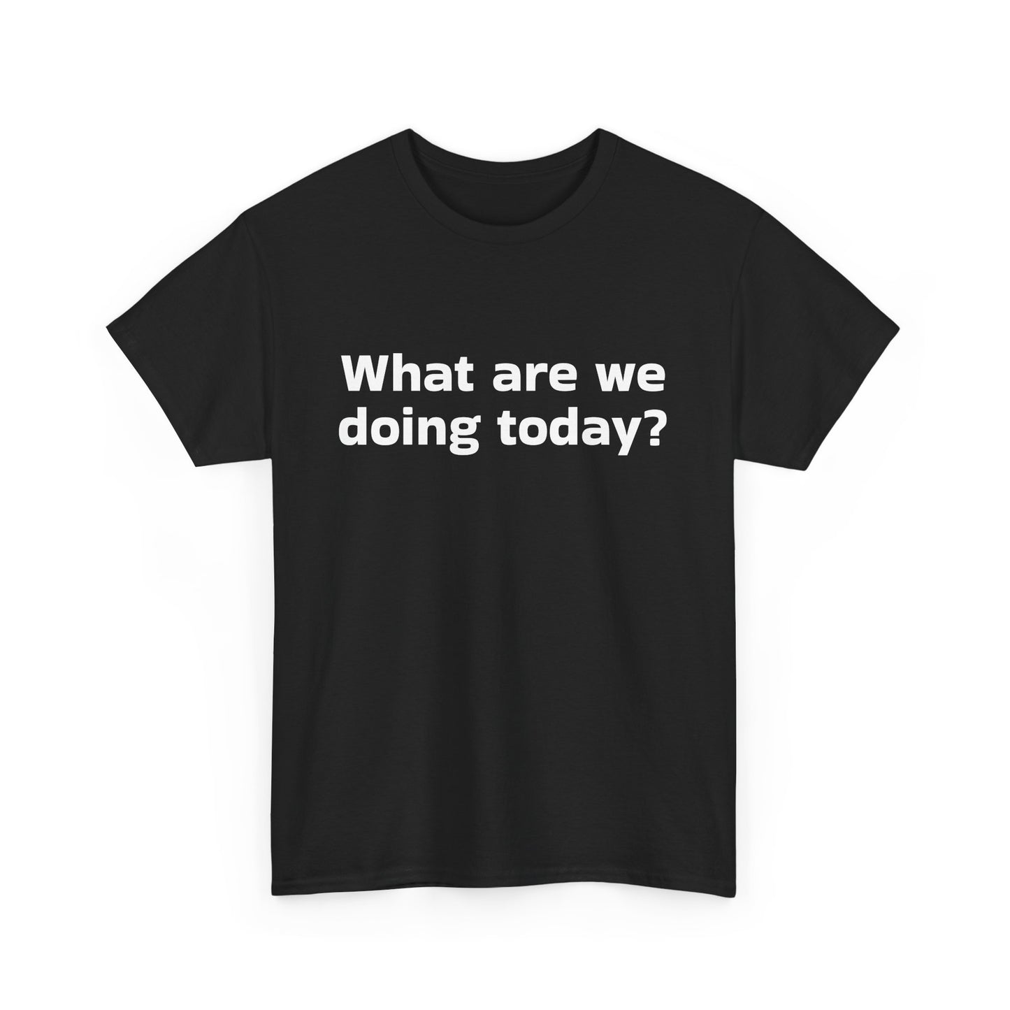 What are we doing today? T-Shirt