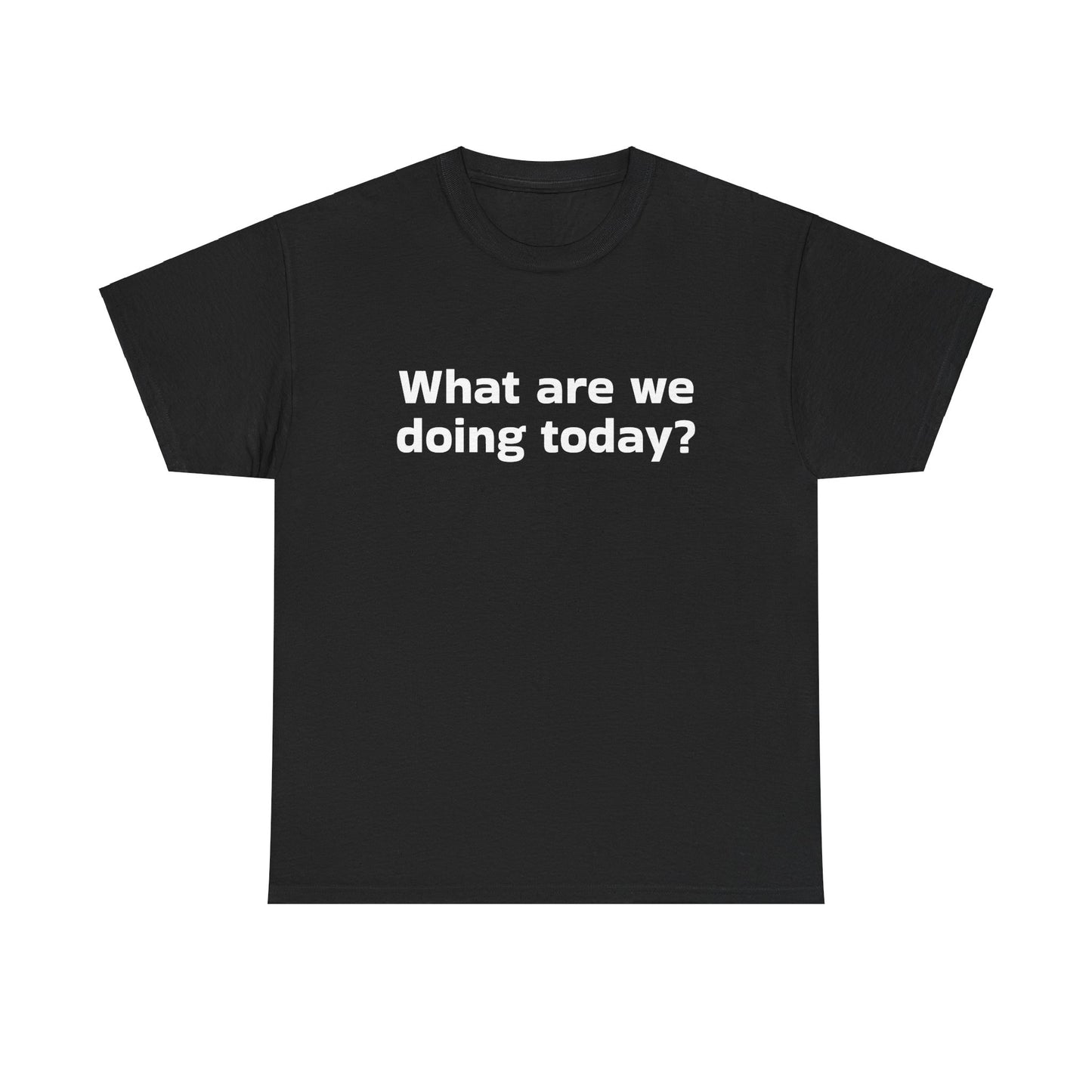 What are we doing today? T-Shirt