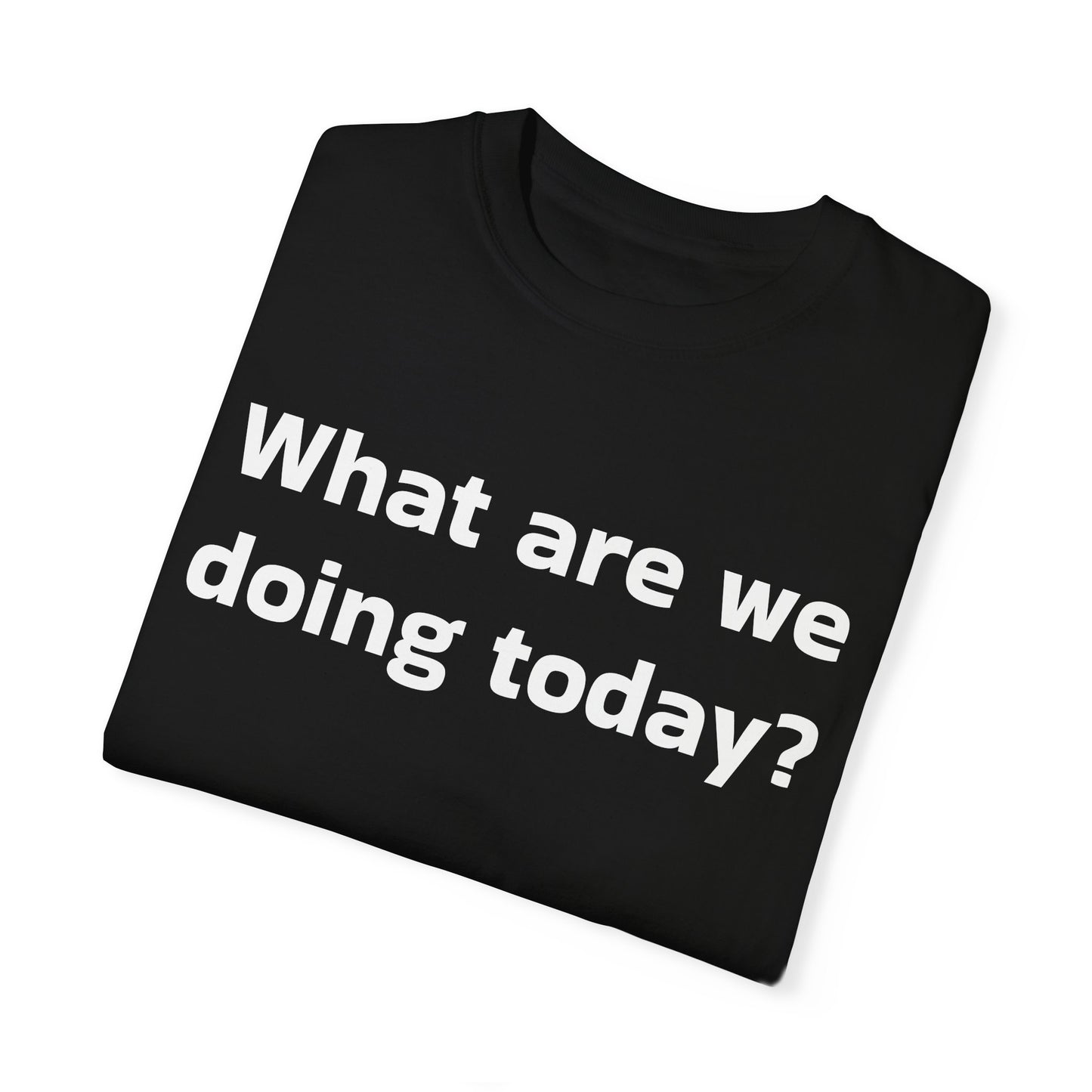 What are we doing today? T-shirt