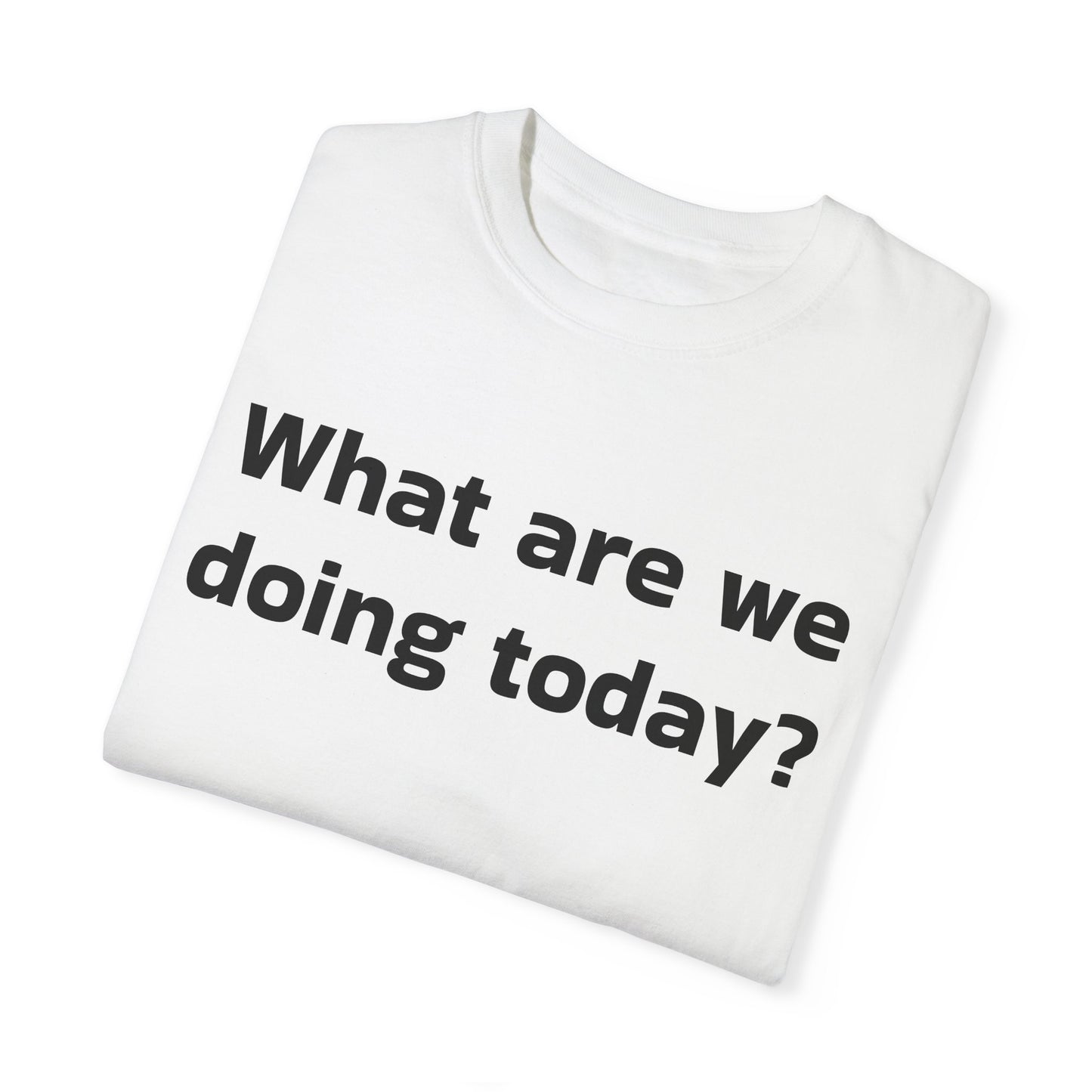 What are we doing today? T-shirt